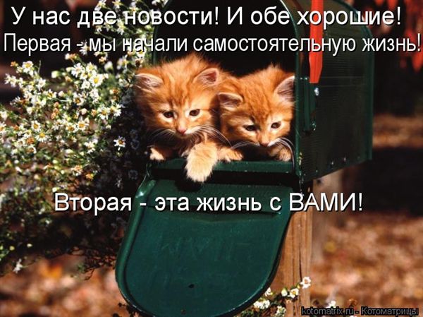 -  www.RzhuNeMogu.ru  47349