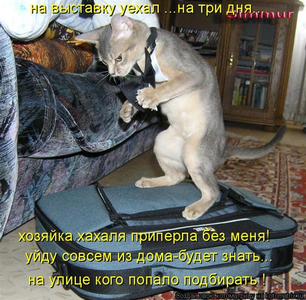 -  www.RzhuNeMogu.ru  47350