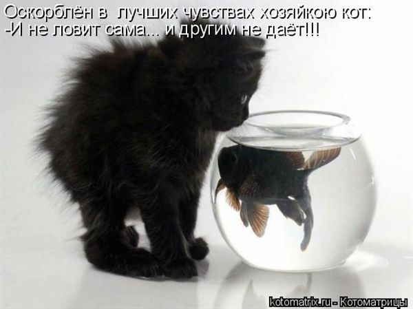 -  www.RzhuNeMogu.ru  47356