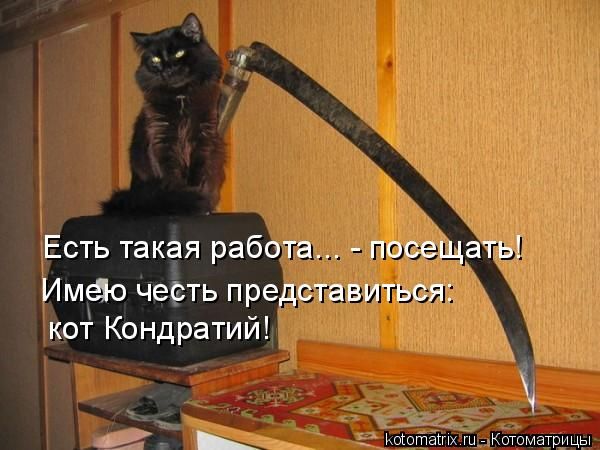 -  www.RzhuNeMogu.ru  47359