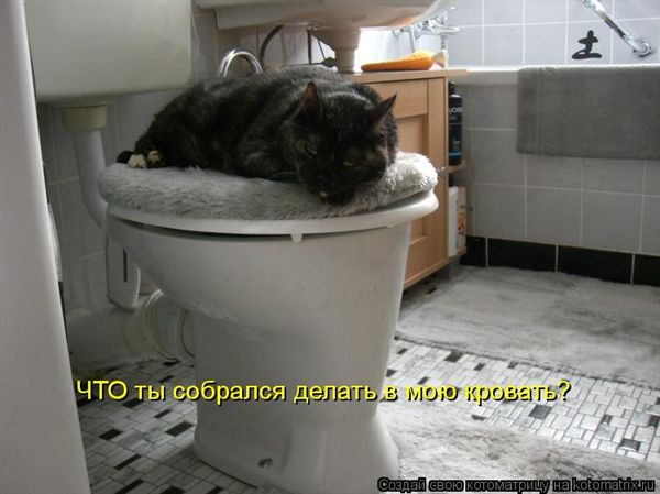 -  www.RzhuNeMogu.ru  47440