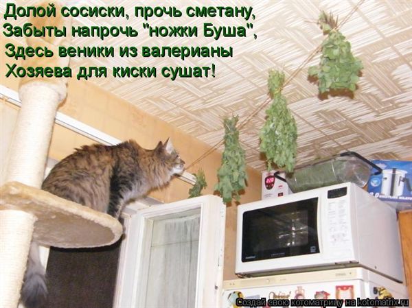 -  www.RzhuNeMogu.ru  47450