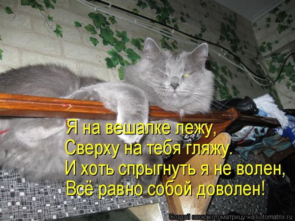 -  www.RzhuNeMogu.ru  48218