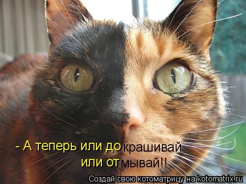 -  www.RzhuNeMogu.ru  48236